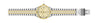 Invicta specialty 29382