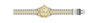 Invicta specialty 29405