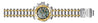 Invicta coalition forces 26505