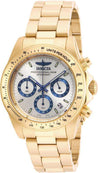 Invicta speedway 17312